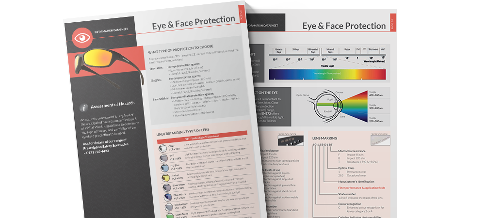 iSB Group: Eye and Face Protection